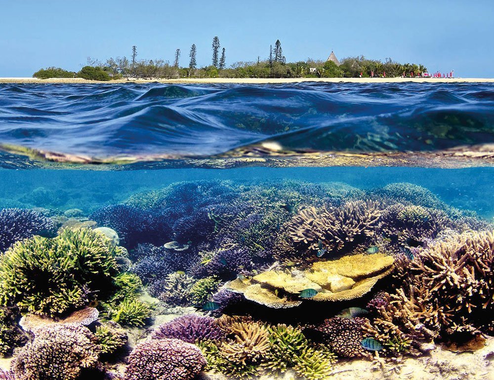 Île aux Canards — reef and lagoon view